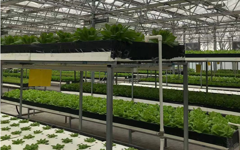 yl6809永利(中国游)官方网站